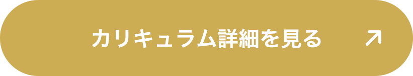 カリキュラム詳細を見る