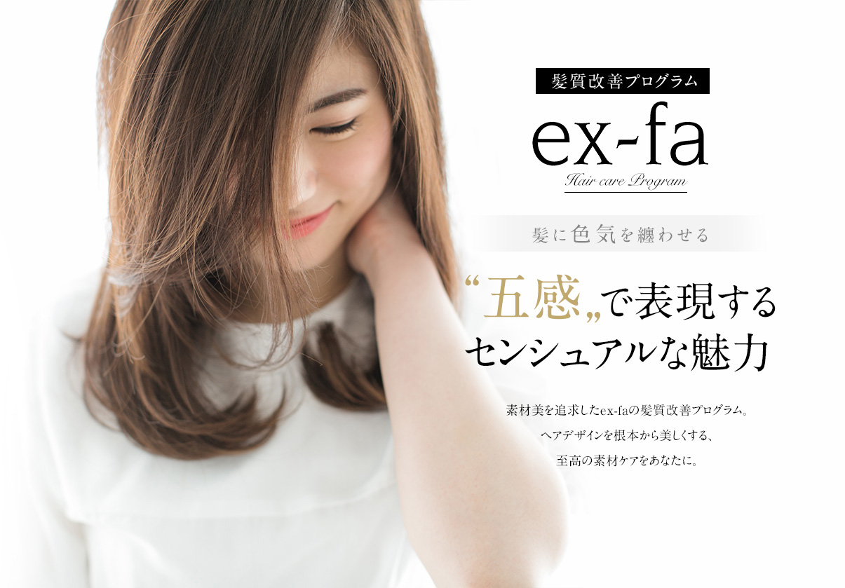 ex-fa 髪質改善プログラム