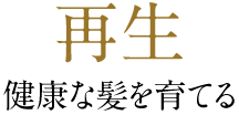 再生 健康な髪を育てる