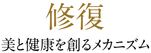 修復 美と健康を創るメカニズム